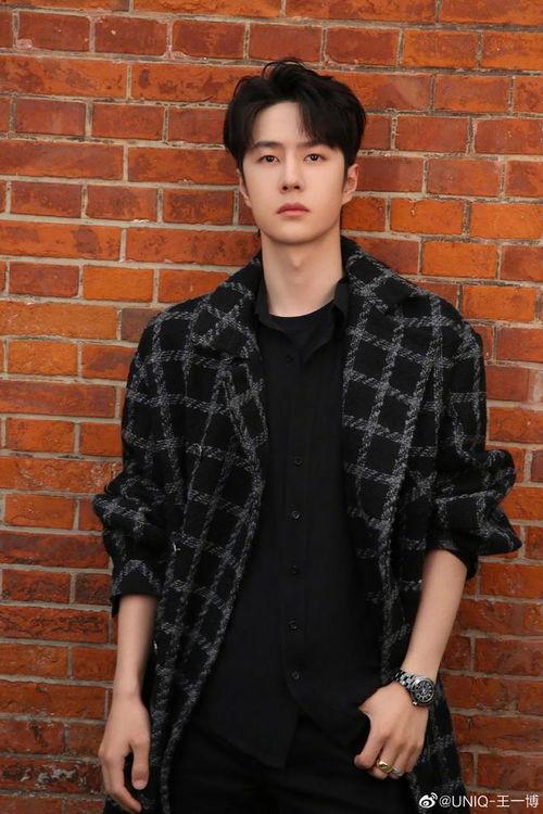 王坤最新爆料视频大全播放,揭秘娱乐圈不为人知的一面