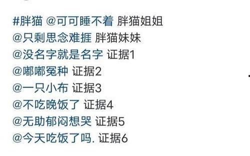 胖猫最新爆料,娱乐圈最新爆料大揭秘！